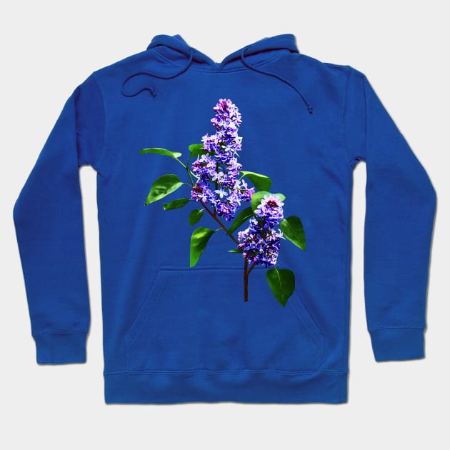 Lilacs - Spray of Lilacs Hoodie by SusanSavad